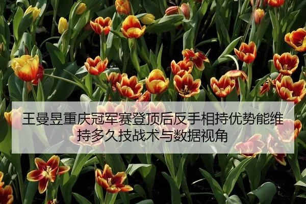 wang-man-yu-chong-qing-guan-jun-sai-deng-ding-hou-fan-shou-xiang-chi-you-shi-neng-wei-chi-duo-jiu-ji-zhan-shu-yu-shu-ju-2-898.jpg