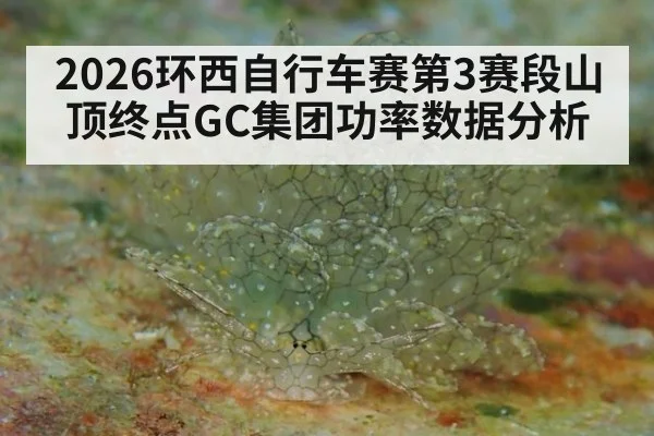2026环西自行车赛第3赛段山顶终点GC集团功率数据分析